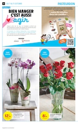 Prospectus Intermarché Express "Intermarché" en cours à Suresnes, Page 14 Catalogue Intermarché Express en cours à Suresnes, "Intermarché", Page 14