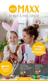 Schleuder-Maxx Sonderposten-Markt Prospekt für Mairing: "für mich & mein Zuhause", 16 Seiten, 27.03.2024 - 09.04.2024