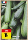 Courgette à Supeco dans Hondouville Courgette à Supeco dans Hondouville