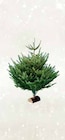 Sapin Nordmann 100/150 cm avec bûche offerte en promo chez Intermarché Antibes à 16,99 €