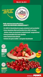 Erdbeeren Angebot & Preis im aktuellen Penny Prospekt Erdbeeren Angebot im aktuellen Penny Prospekt auf Seite 9