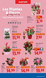 Plantes Angebote im Prospekt "Moins Cher !" von Lidl auf Seite 35