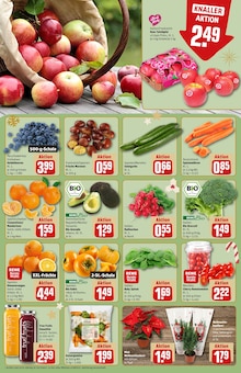 Nüsse im REWE Prospekt "Dein Markt" mit 32 Seiten (Mannheim)