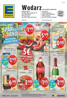 EDEKA Prospekt "Aktuelle Angebote" mit  Seiten (Solingen (Klingenstadt))