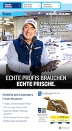 Scholle im METRO Prospekt Scholle im METRO Prospekt "Wochenangebote" auf Seite 6