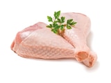 Ganze Putenschenkel für 5,49 € bei Netto mit dem Scottie im Angebot Ganze Putenschenkel im aktuellen Netto mit dem Scottie Prospekt
