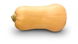 Deutscher Bio-Butternut-Kürbis im Angebot bei Penny in Hagen Deutscher Bio-Butternut-Kürbis Angebote von Naturgut bei Penny Hagen für 1,79 €