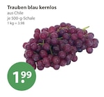 Trauben blau kernlos bei V-Markt im Erkheim Prospekt für 1,99 €
