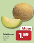 Galia Melonen bei combi im Damme Prospekt für 1,59 €