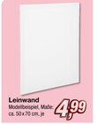 Leinwand für 4,99 € bei KiK im Angebot Leinwand im aktuellen KiK Prospekt