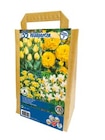 Wildgarten im Netto mit dem Scottie Prospekt Wildgarten im aktuellen Netto mit dem Scottie Prospekt für 4,49 €