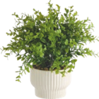 Plante artificielle à led - HOME CREATION à 7,99 € dans le catalogue Aldi