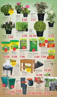 Geranien im aktuellen Jawoll Prospekt (Salzgitter) Geranien im Jawoll Prospekt "Sonderposten-MĂ€rkte" mit 16 Seiten (Salzgitter)