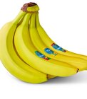Bananen Angebote von CHIQUITA bei Penny-Markt Darmstadt für 1,99 €