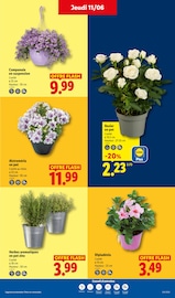 Prospectus Lidl "L'ÉTÉ IMBATTABLE" en cours à Saint-Malo, Page 29 Catalogue Lidl en cours à Saint-Malo, "L'ÉTÉ IMBATTABLE", Page 29