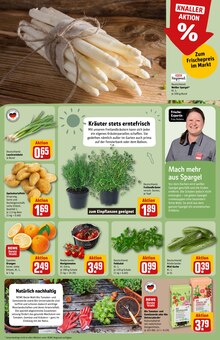 Kartoffeln im REWE Prospekt "Dein Markt" mit 42 Seiten (Kiel)