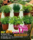 Hornbach Fürth Prospekt mit  im Angebot für 17,99 €