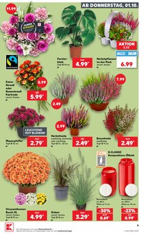 Pflanzen im aktuellen Kaufland Prospekt (Bochum) Pflanzen im Kaufland Prospekt "Hier bin ich richtig" mit 76 Seiten (Bochum)