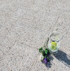 Waschbetonplatte im Angebot bei Hagebaumarkt in Haltern am See Waschbetonplatte Angebote bei Hagebaumarkt Haltern am See für 4,49 €