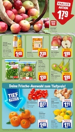 Ähnliche Angebote wie Mais im Prospekt "Dein Markt" auf Seite 6 von REWE in Remscheid