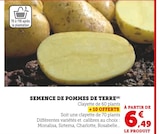 Semence de pommes de terre en promo chez Super U La Ciotat à 6,49 €