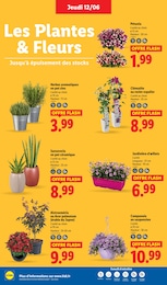 Offre Jardinière dans le catalogue Lidl du moment à la page 28