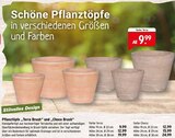 Aktuelles Pflanztöpfe Terra Brush oder Choco Brush Angebot bei Raiffeisenmarkt in Münster ab 9,99 €