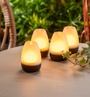 Akku-Lounge-Leuchten  im aktuellen Rossmann Prospekt für 12,99 €