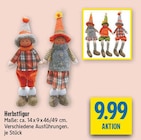 Herbstfigur im Angebot bei diska in Hof Herbstfigur Angebote bei diska Hof für 9,99 €