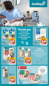 Katzenstreu im REWE Prospekt "Dein Markt" mit 30 Seiten (Aachen)