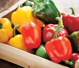 Intermarché Express La Verrière - Promo Poivron Tricolore Promo Poivron Tricolore à 1,28 € dans le catalogue Intermarché Express à La Verrière