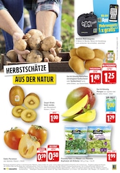Handtaschen im EDEKA Prospekt in Frankenthal Aktueller EDEKA Prospekt mit Handtaschen, "Aktuelle Angebote", Seite 2