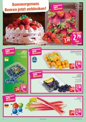 Aktueller Marktkauf Prospekt mit Erdbeeren, "AUSWAHL RIESIG, PREISE NIEDRIG", Seite 10
