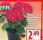 Heimatliebe Geranien von EDEKA für 2,49 € bei EDEKA im Angebot Heimatliebe Geranien von EDEKA im aktuellen EDEKA Prospekt