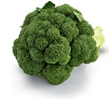 Broccoli bei Netto Marken-Discount im Bochum Prospekt für 1,11 €