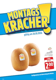 Kiwi im aktuellen E center Prospekt (Dresden) Kiwi im E center Prospekt "Wir lieben Lebensmittel!" mit 40 Seiten (Dresden)