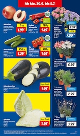 Paprika im Lidl Prospekt in Wiesbaden Aktueller Lidl Prospekt mit Paprika, "LIDL LOHNT SICH", Seite 3