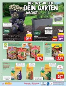 Pflanzen im Netto Marken-Discount Prospekt "Aktuelle Angebote" mit 60 Seiten (Bielefeld)