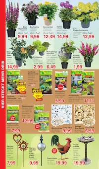 Dünger Angebot im aktuellen Jawoll Prospekt auf Seite 8