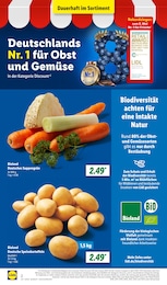 Lidl Kartoffeln im Prospekt 