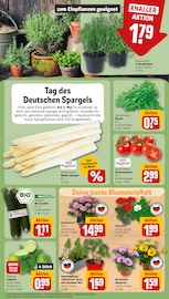 Ähnliche Angebote wie Salatpflanze im Prospekt "Dein Markt" auf Seite 5 von REWE in Duisburg