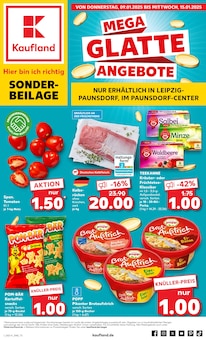 Kaufland Prospekt "Sonderbeilage" mit  Seiten (Leipzig)