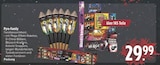 Aktuelles Pyro-Family Angebot bei E center in Chemnitz ab 29,99 €