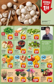 Braten im aktuellen REWE Prospekt (Fürth) Braten im REWE Prospekt "Dein Markt" mit 36 Seiten (Fürth)