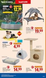 Piscine en promo dans le catalogue Lidl à la page 37