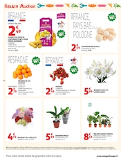 Plante Verte en promo dans le catalogue Auchan Supermarché à la page 10