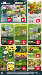 Drachen Angebot im aktuellen Netto mit dem Scottie Prospekt auf Seite 20