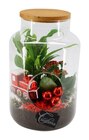 Terrarium 2 plantes à Carrefour dans Lenoncourt
