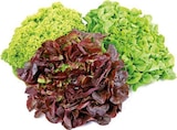 EDEKA Arnsberg - Bunte Salate Angebot im Prospekt Bunte Salate bei EDEKA im Arnsberg Prospekt für 0,99 €