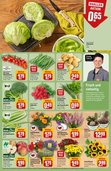 Pflanzen im aktuellen REWE Prospekt (Jena) Pflanzen im REWE Prospekt "Dein Markt" mit 30 Seiten (Jena)